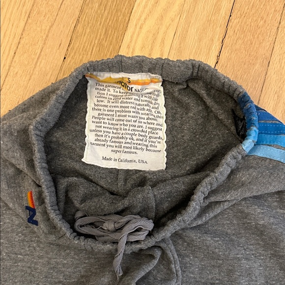 Aviator Nation Gray Track Joggers & Zip Hoodie with Blue Stripe Accents - Picture 4 of 8